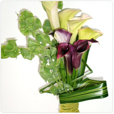 Post image for Bouquet de Jarros e Molucela